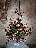 2013_12_11_vanocni_stromky_002.jpg