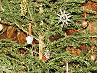 img_5691.jpg