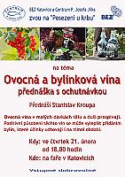02_21_ovocna_vina_jpg.jpg