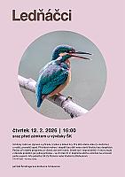 knih_lednacci_unor.jpg