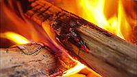 674521184_bugsuk_firewood_log_wood_heat_concept.jpg