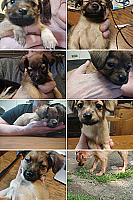 20250724_113636_collage.jpg