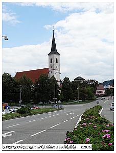 528.jpg